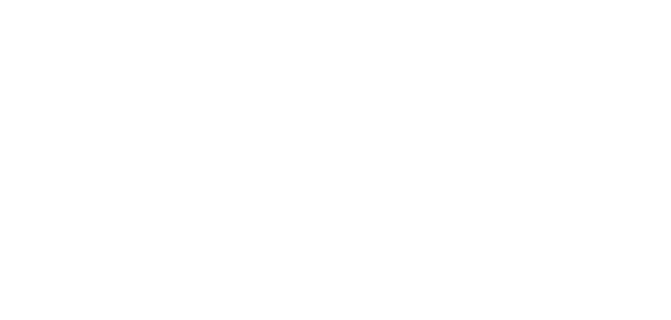 logobrancoreiki